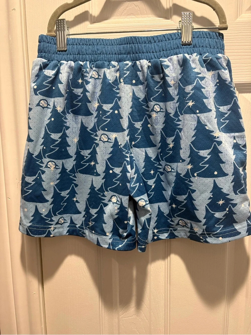 B101 winter 2025 shorts - Picture 2 of 3